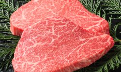 宮崎牛シャトーブリアン